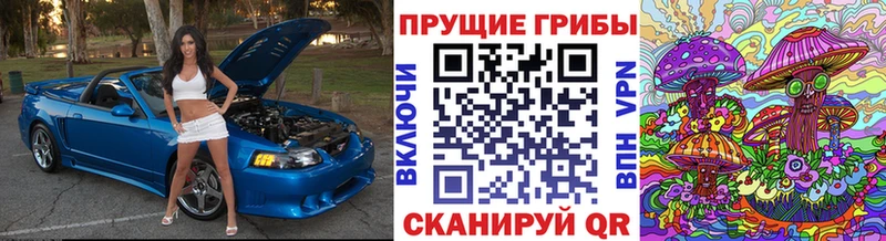 Галлюциногенные грибы мицелий  Купить где  Среднеуральск 